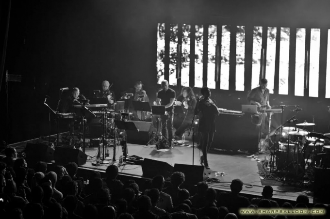 Bonobo